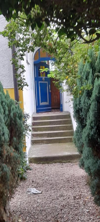 Mountain Villa View Apartment イェレニャ・グーラ エクステリア 写真