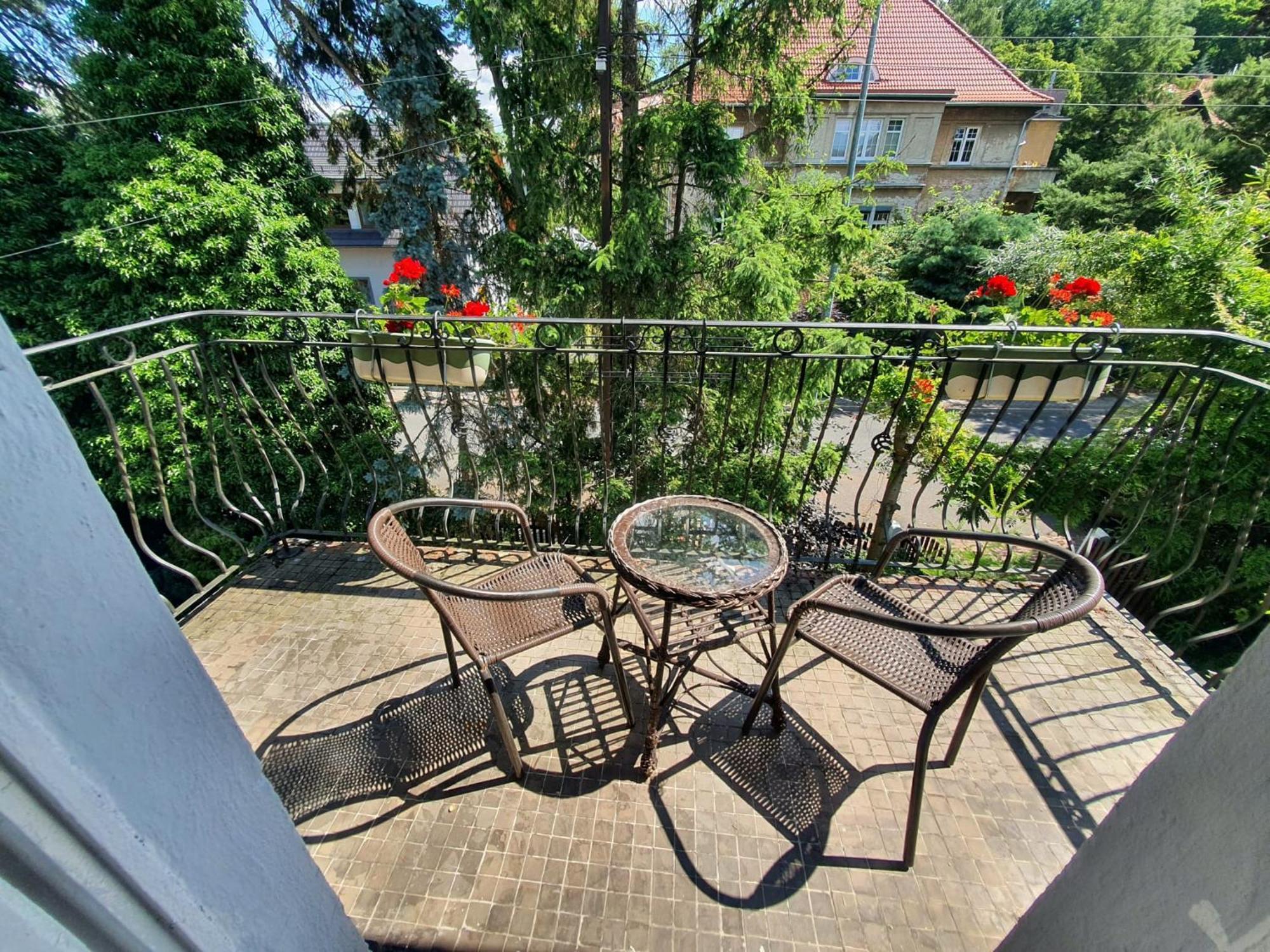 Mountain Villa View Apartment イェレニャ・グーラ エクステリア 写真